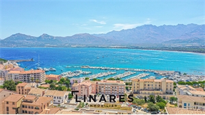 appartement à la vente -   20260  CALVI, surface 340 m2 vente appartement - APR685702